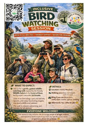 birdwatching
