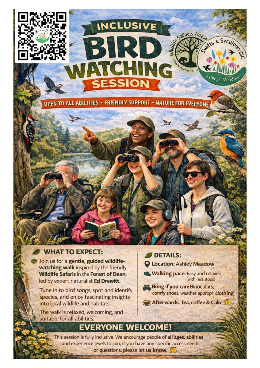 birdwatching