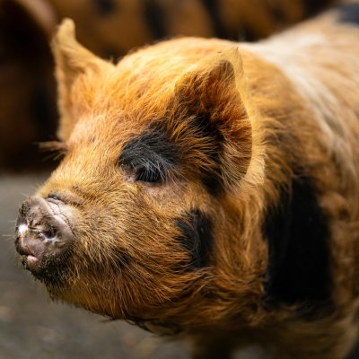 harley-lin-jIy03VkTiwE-unsplash