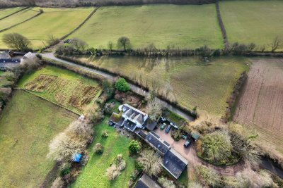 Swifts and Swallows Tour-3