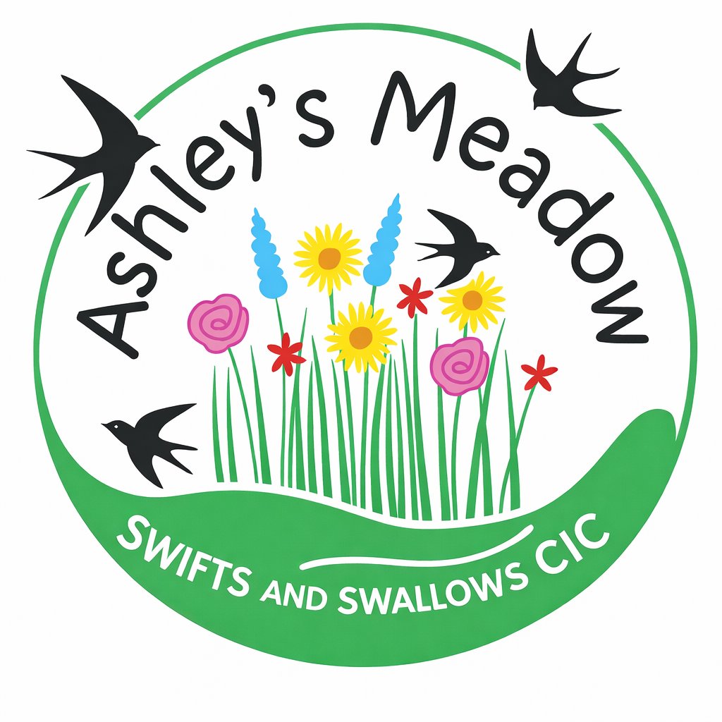 Ashley's Meadow logo design with birds